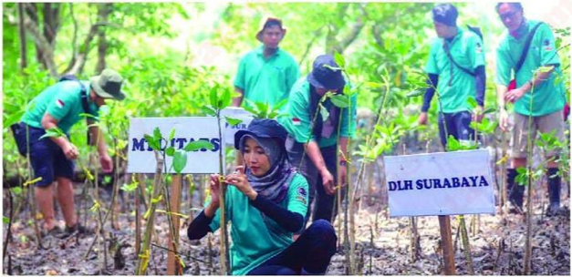 Cegah Abrasi, Tanam 150 Mangrove di Muara Wonorejo